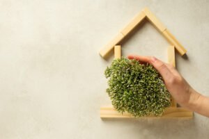 casinha de madeira com planta